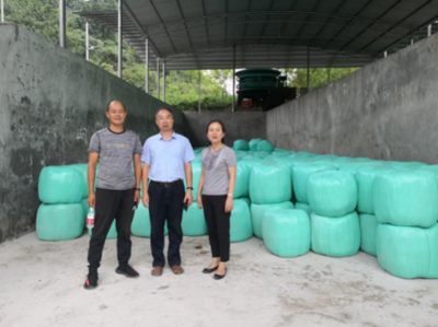 市畜牧總站帶隊南方草地項目指導工作圓滿完成，助力墊豐石畜牧飼料業升級