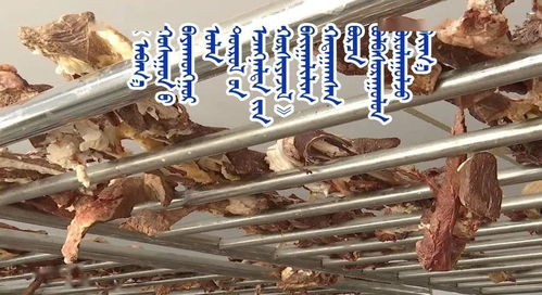 草原深處的財富密碼 阿巴嘎旗合作社的牛羊肉增值之路
